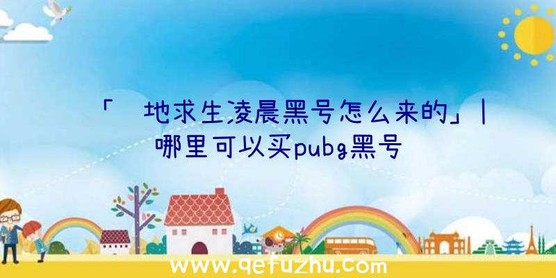 「绝地求生凌晨黑号怎么来的」|哪里可以买pubg黑号